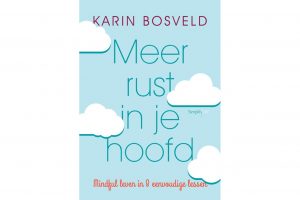 Lees meer over het artikel Meer rust in je hoofd