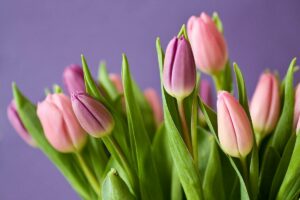 Lees meer over het artikel Bloemen op kantoor voor productiviteit en welzijn